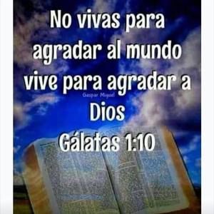 Meet your Posher, Ana